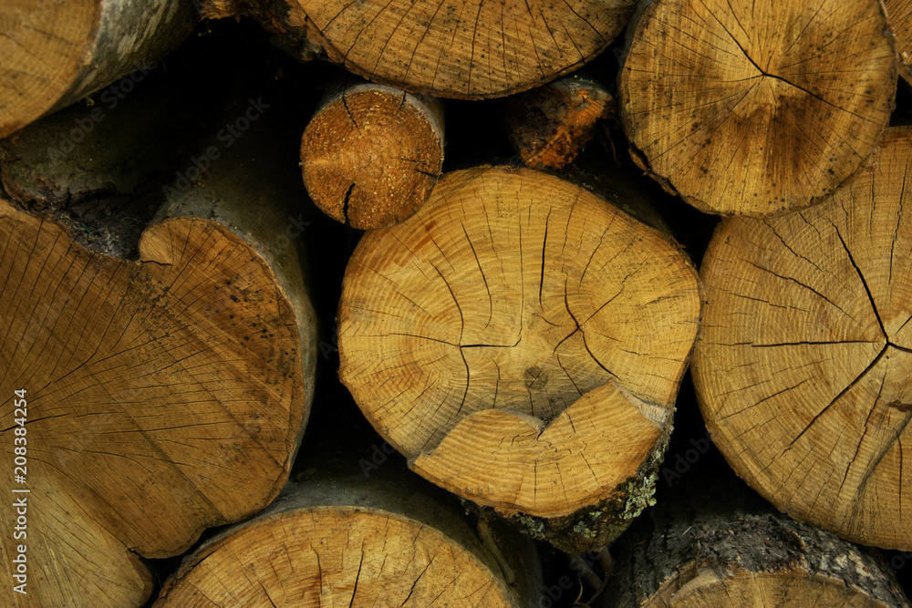 Wooden decks in section. Background. Wooden decks in section. Background.