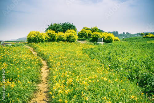 Farm road