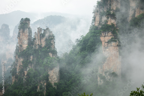 Zhangjiajie Forest Park. Gigantic pillar mountains rising from the canyon. Hunan province  China.