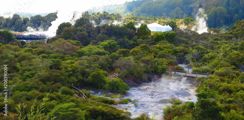 Geyser in Rotorua