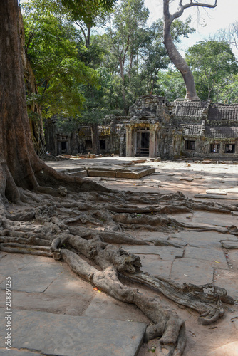 Ta Prohm temple at Angkor Wat complex, Siem Reap, Cambodia