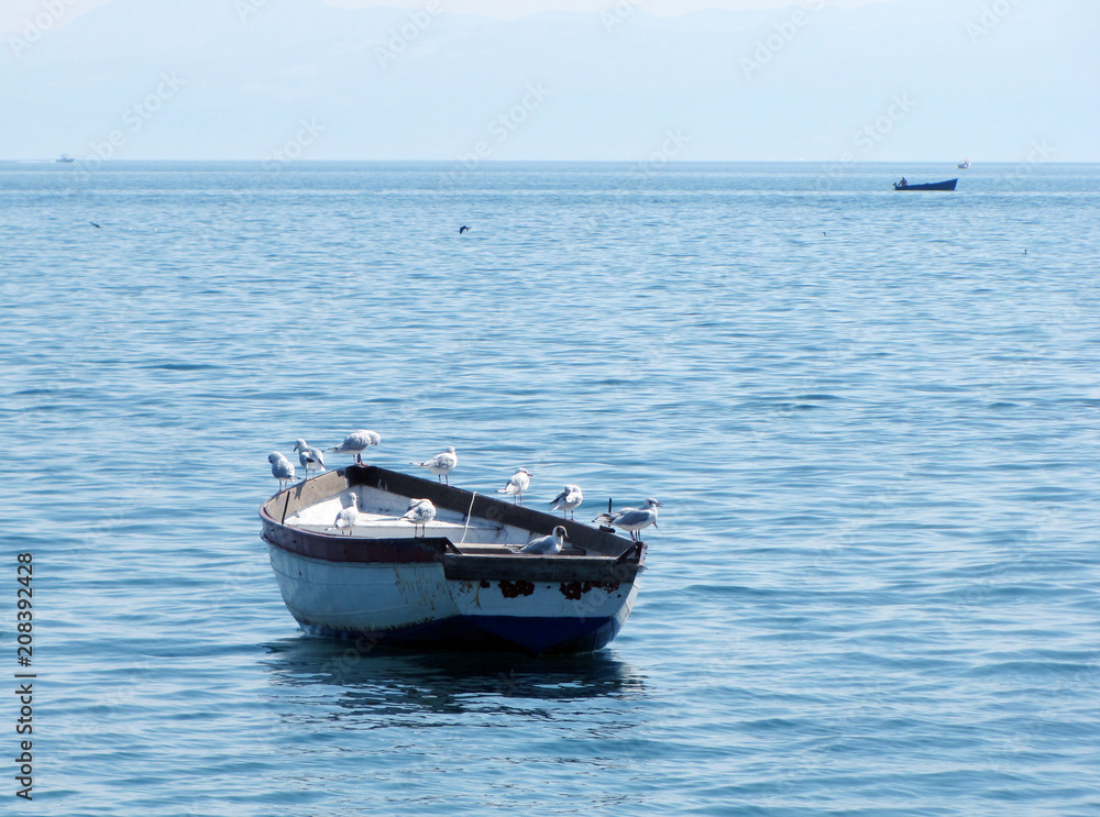 Seagulls rocking on fishing boat