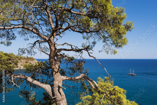 Fototapeta Naklejka Na Ścianę i Meble -  Summer landscape with sea view, Turkey