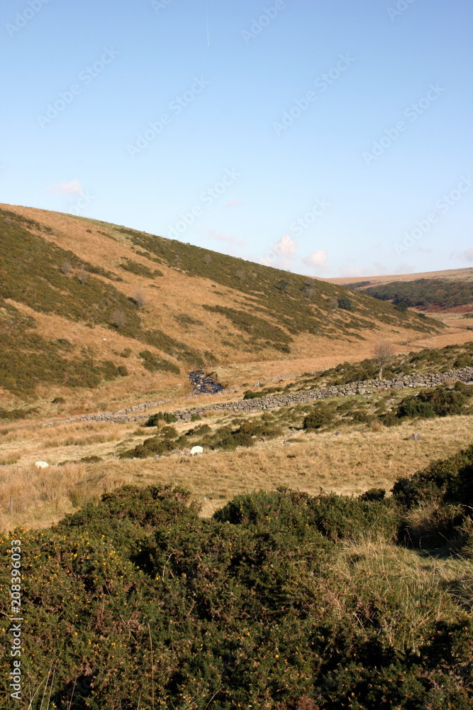 Dartmoor Hill