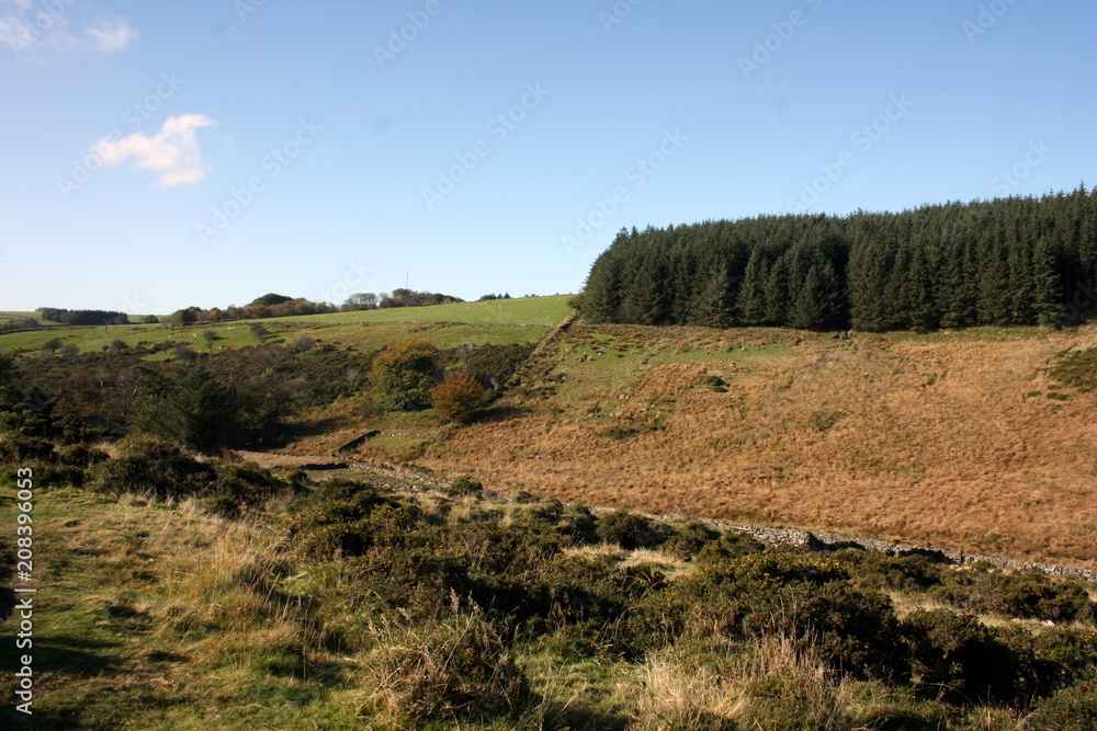 Obraz premium Dartmoor Crag