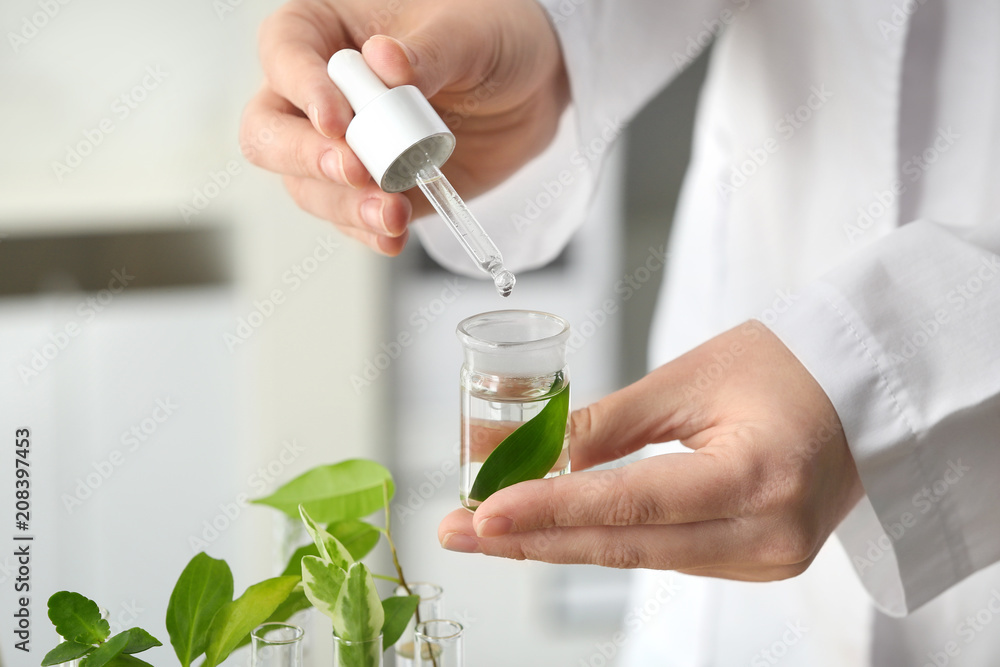 Lab worker dripping water into flask with leaf on blurred background, closeup Lab worker dripping water into flask with leaf on blurred background, closeup