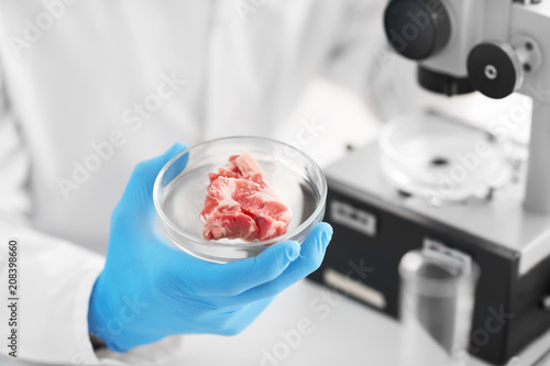 Scientist holding Petri dish with meat sample in laboratory
