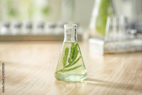 Flask with plant on table in laboratory