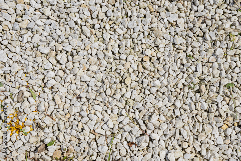 scattering of small stones of white color on the ground scattering of small stones of white color on the ground