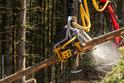 Holzernte mit dem Harvester