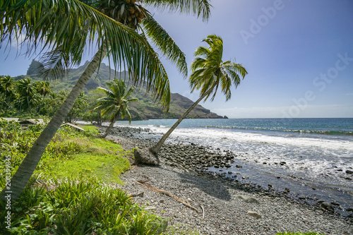 Landscape with Beach and mo...