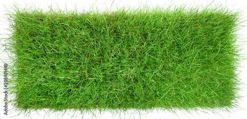 Wiese isoliert - Gras Hintergrund Panorama auf weiß
