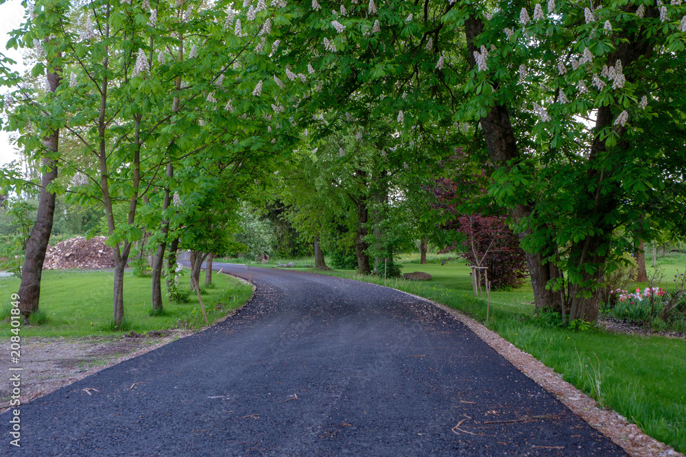 empty gravel road in the countryside in summer heat
