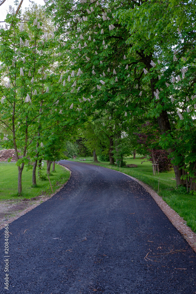 empty gravel road in the countryside in summer heat empty gravel road in the countryside in summer heat