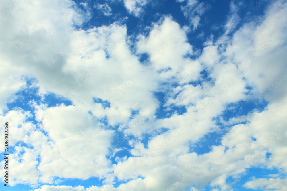 Fototapeta premium Beautiful blue sky and white fluffy cumulus clouds. Background. Landscape.