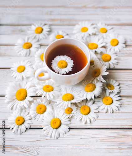 Cup of chamomile tea with fresh daisies. White fresh flowers on a light gray vintage wooden background. Concept, top view.