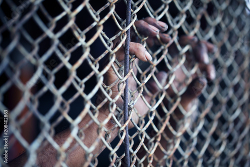 hands of prisoner in jail background.