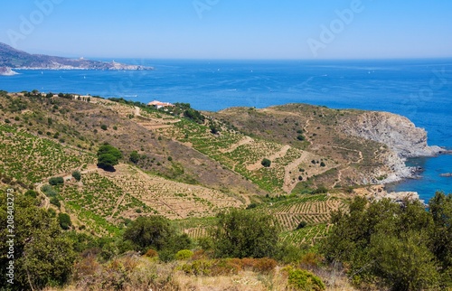 Rocky shore in marine reserve of Cerbere Banyuls, Mediterranean sea, Pyrenees Orientales, Cote Vermeille, France