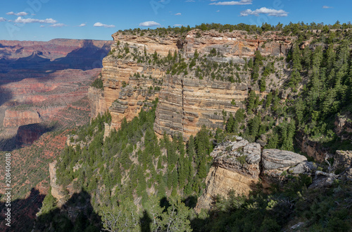 Grand Canyon South Rim Landscape
