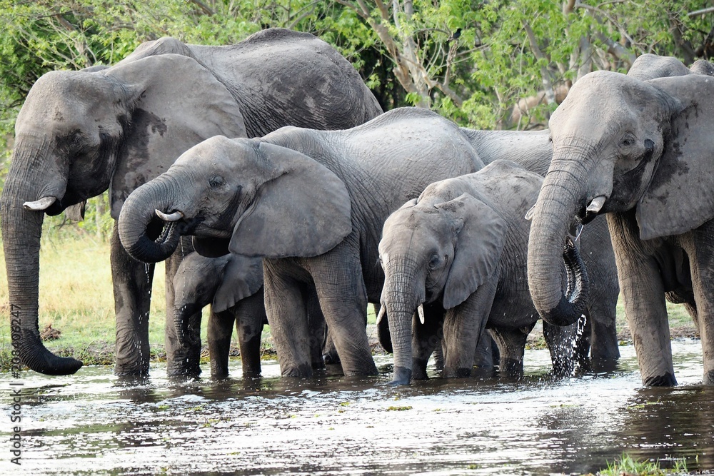 Fototapeta premium OLYMPUS DIGITAL CAMERA