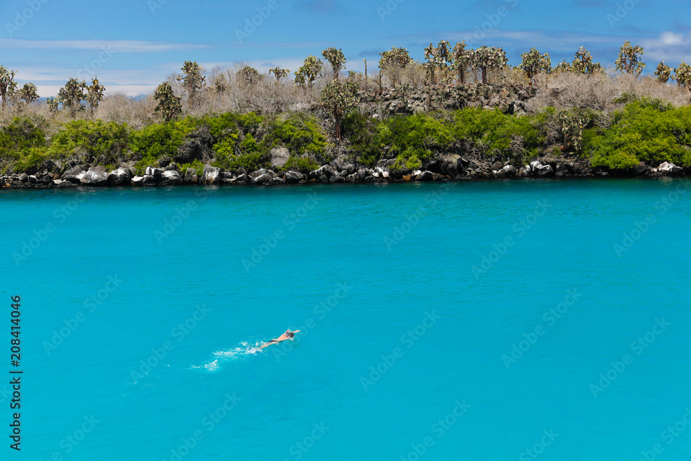 Fototapeta premium Mężczyzna pływający z rurką i wiosłami w krystalicznej wodzie o turkusowym odcieniu