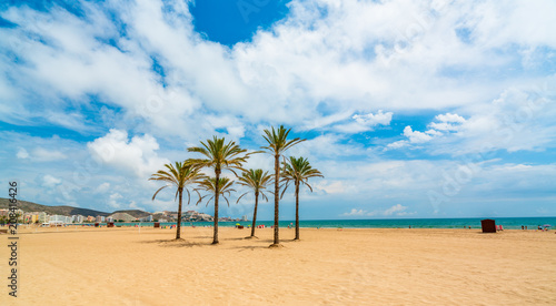 View from the seafront at the sea, palm trees and beach in the city of Cullera. District of Valencia. Spain photo