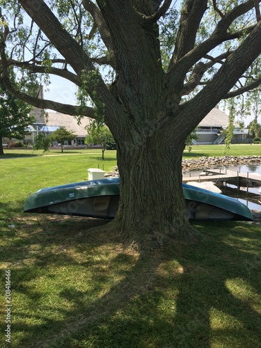 canoes leaning on tree © Juli