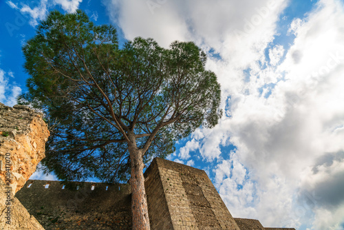 The medieval castle of Xativa against a dramatic and bright sky after the rain. District of Valencia. Spain photo