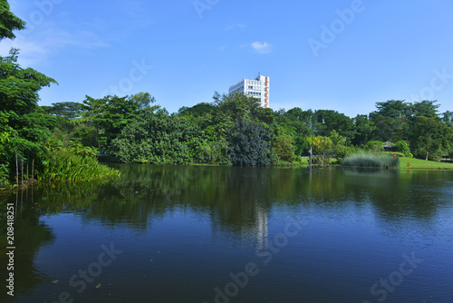 The Garden city series - Singapore Botanic Garden, an UNESCO World Heritage Site of Singapore