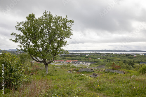 Residential area in Bronnoysund Nordland county