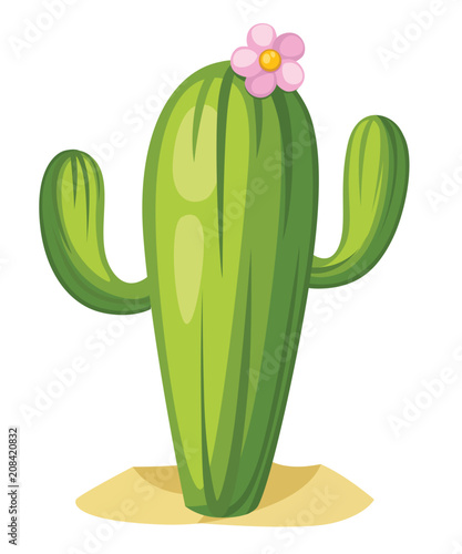 Green cactus with pink flower. Large cactus tree in desert. Cartoon vector illustration isolated on white background
