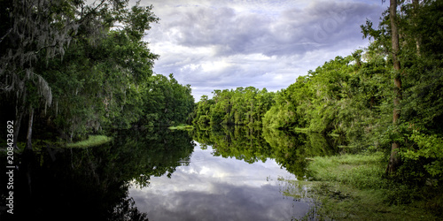 Shingle Creek on a Cloudy Morning