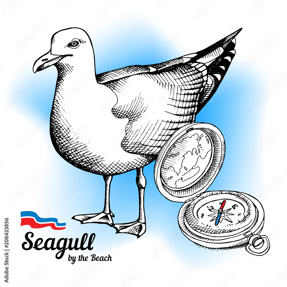 Naklejka premium Seagull and compass on blue background. Vector illustration.