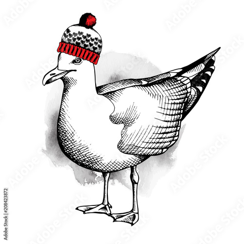 Funny seagull in a knitted hat. Vector illustration.