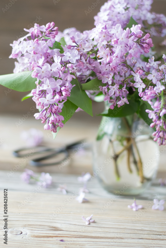 Bouquet of pink lilac in pitcher Bouquet of pink lilac in pitcher