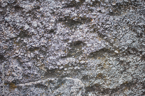 Stone Texture 