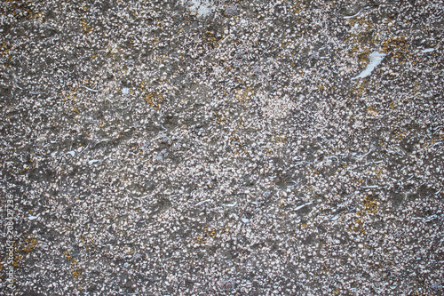 Stone Texture 