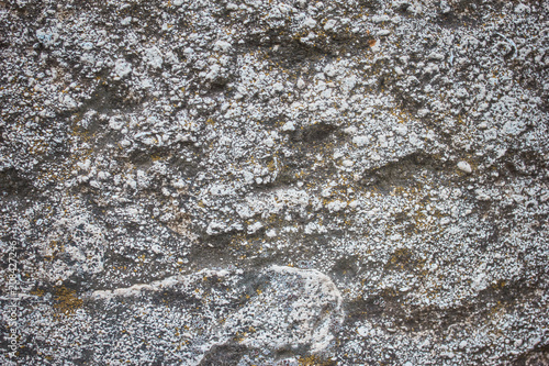 Stone Texture 