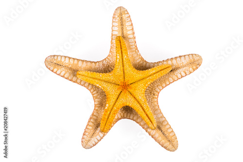 a yellow starfish on a white isolated background