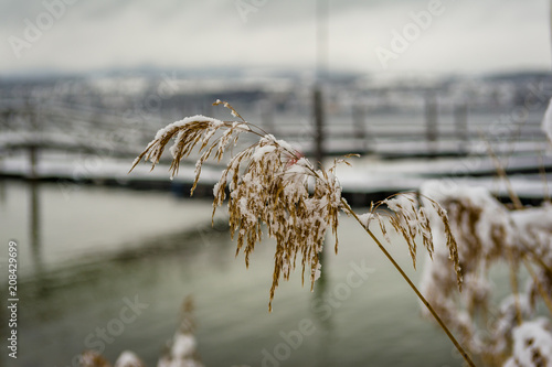 Woman in red overknee boots on a mooring at lake constance. photo