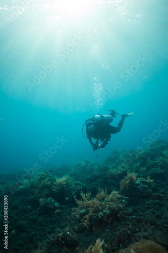 Female scuba diver in beautiful blue tropical underwater © DaiMar