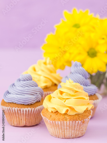 Cupcakes decorated with yellow and violet cream and chrysanthemums on violet pastel background for greeting card with copyscape.
