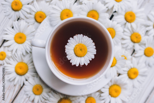 Cup of beauty chamomile tea with fresh daisies. White fresh flowers on a light gray wooden background. Top view, close up.
