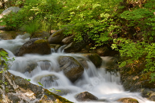 Fototapeta Naklejka Na Ścianę i Meble -  The Soft Stream