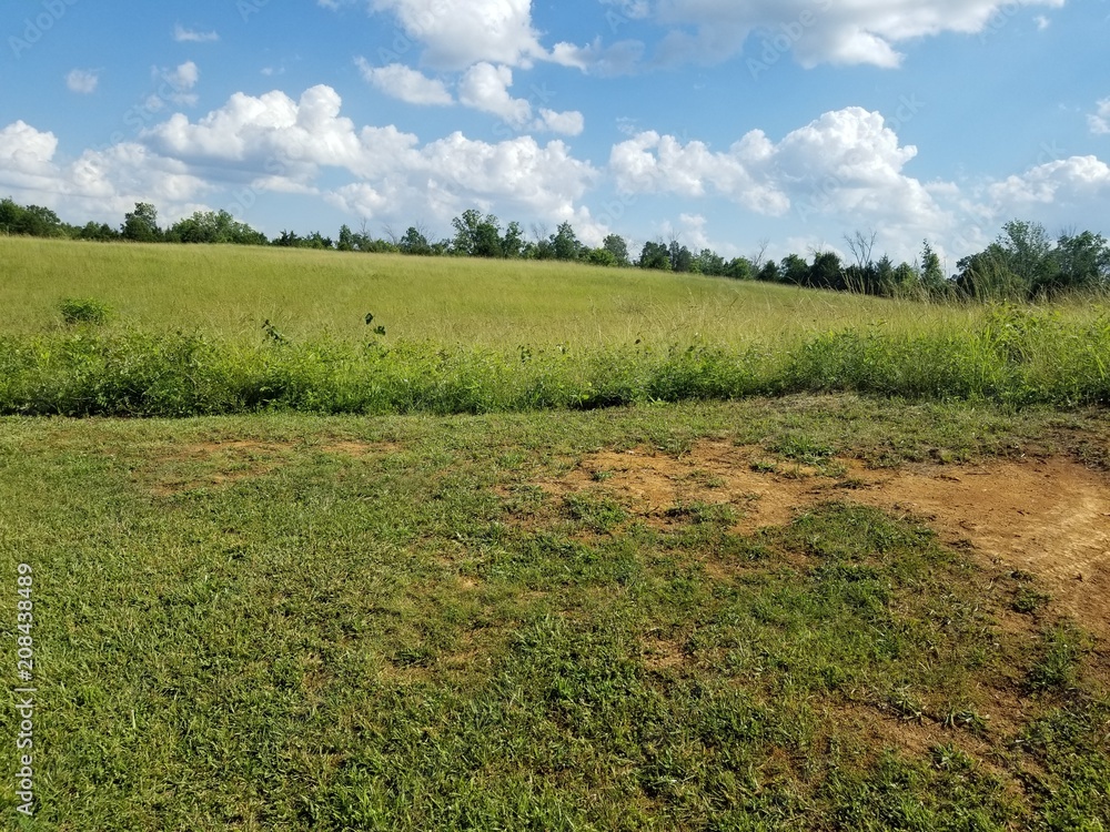 Obraz premium Beautiful Day