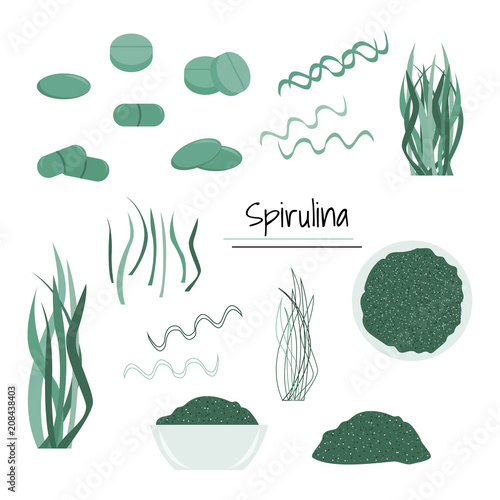Spirulina superfood set. Vector hand drawn illustration.