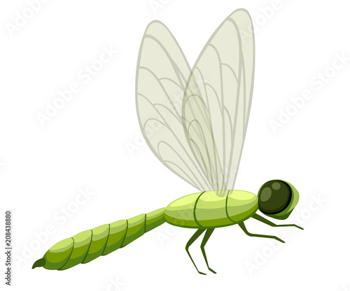 Green cartoon dragonfly illustration. Fly insect wildlife object. Flat vector illustration isolated on white background