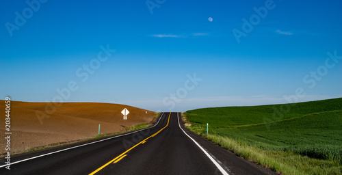 Palouse road disappering at the horizon photo