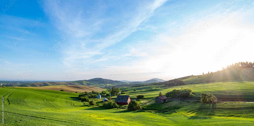 Foto Palouse landscape at sundown