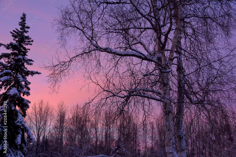 Winter Sunset Winter Sunset